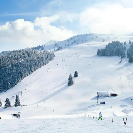 Pleasant In With Wellness * Bayrischzell